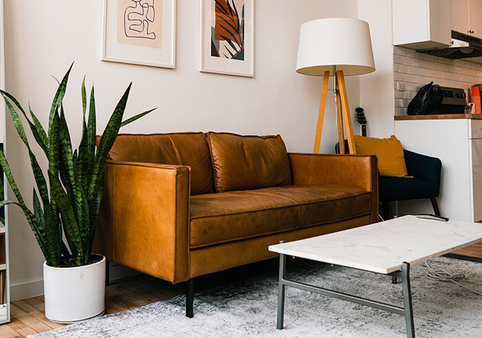 Pest Control Services